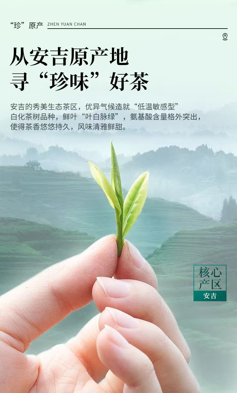 狮峰牌明前绿茶 | Teh Hijau Mingqian Shifeng
