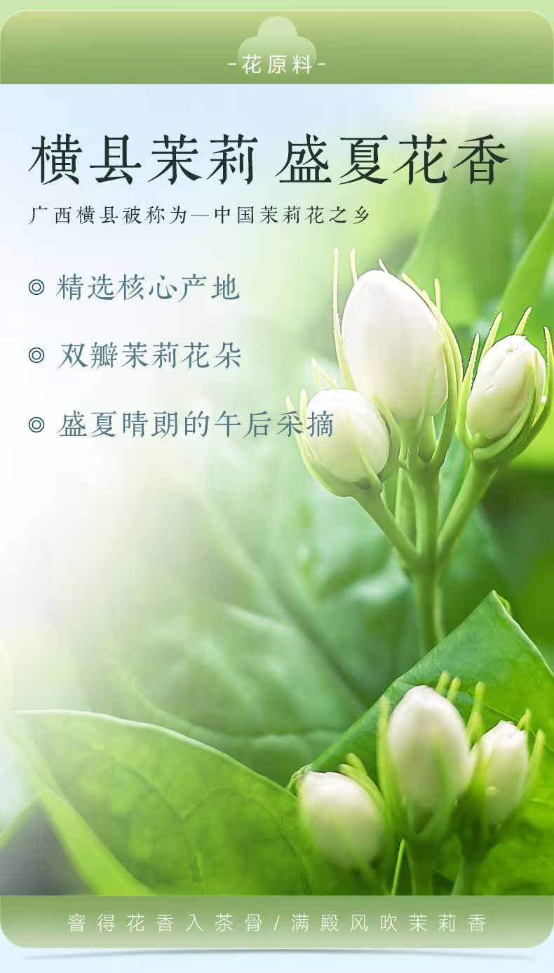 Teh Melati Jenama Shifeng | Teh Melati Shifeng
