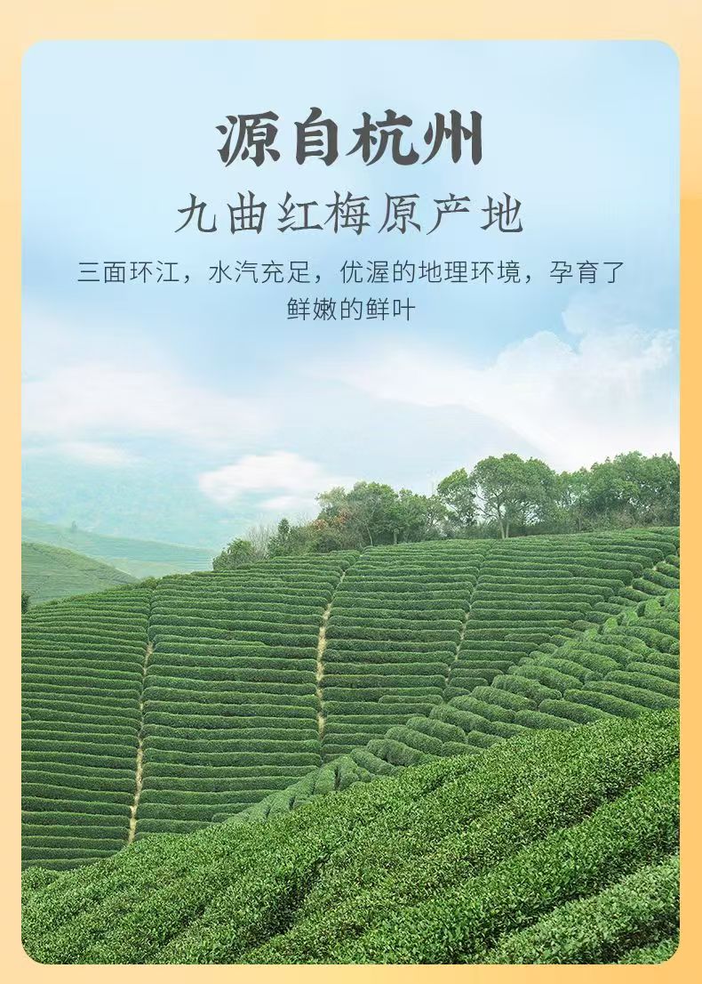 Teh Hitam Osmanthus Shifeng | Teh Hitam Osmanthus Shifeng