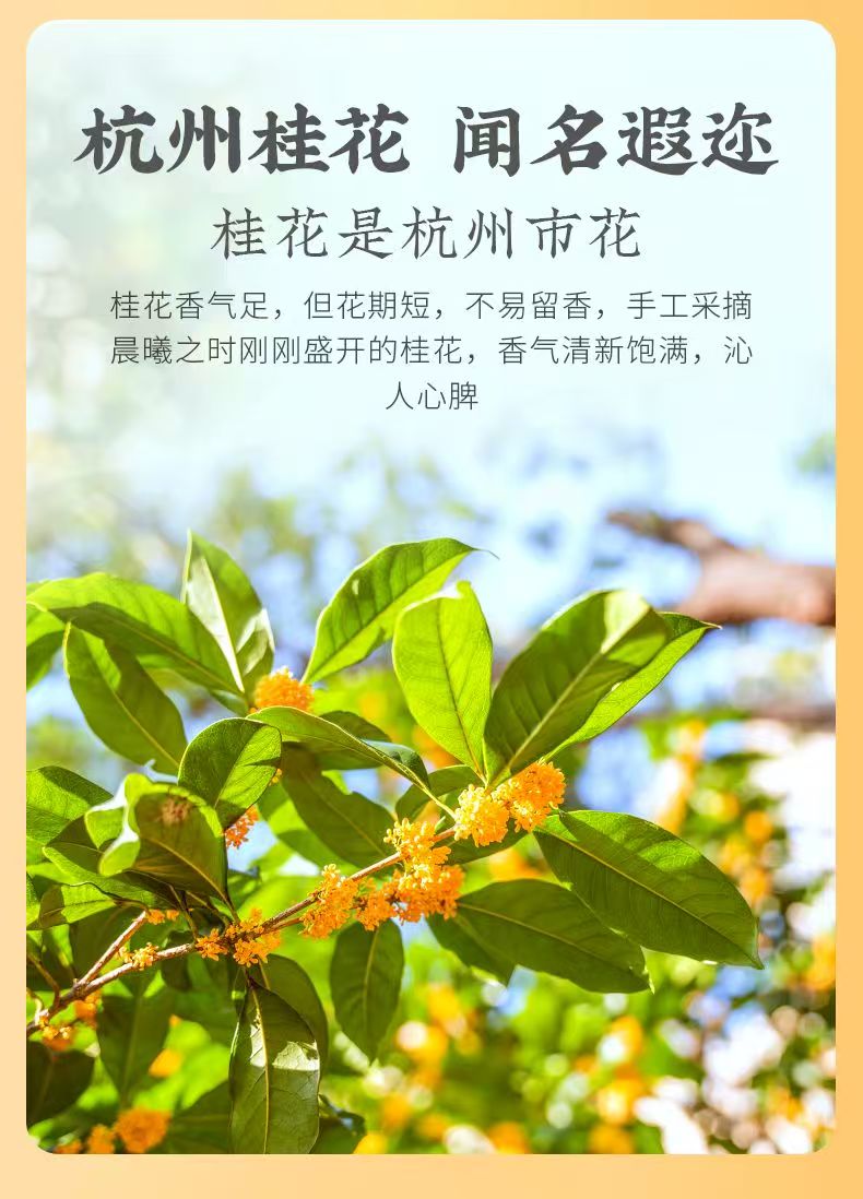 Teh Hitam Osmanthus Shifeng | Teh Hitam Osmanthus Shifeng