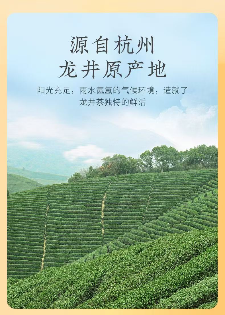 Teh Longjing Osmanthus Shifeng