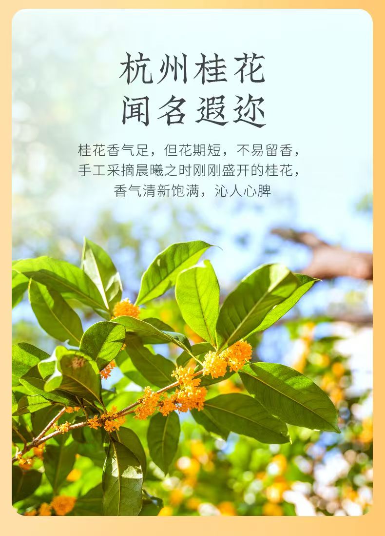Teh Longjing Osmanthus Shifeng